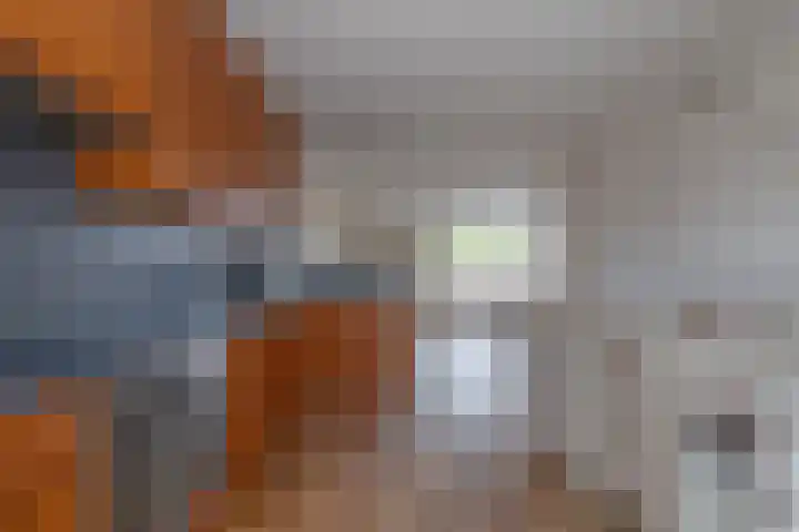 Wold 26 26 3 Lelystad thumbnail 10