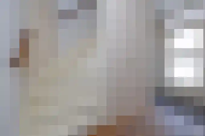 Wold 26 26 3 Lelystad thumbnail 12