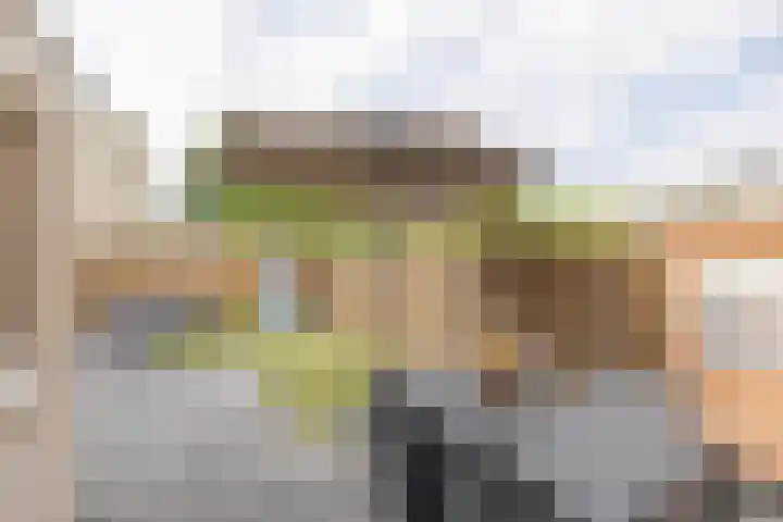 Wold 26 26 3 Lelystad thumbnail 27