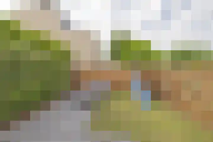 Wold 26 26 3 Lelystad thumbnail 28