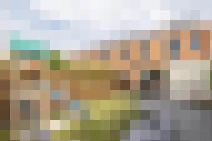Wold 26 26 3 Lelystad thumbnail 29