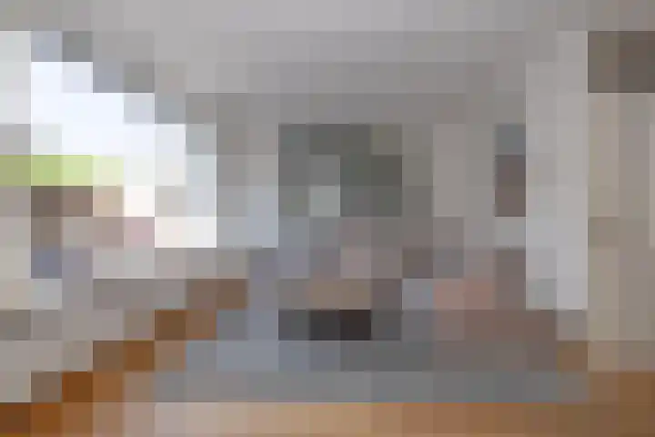 Wold 26 26 3 Lelystad thumbnail 6
