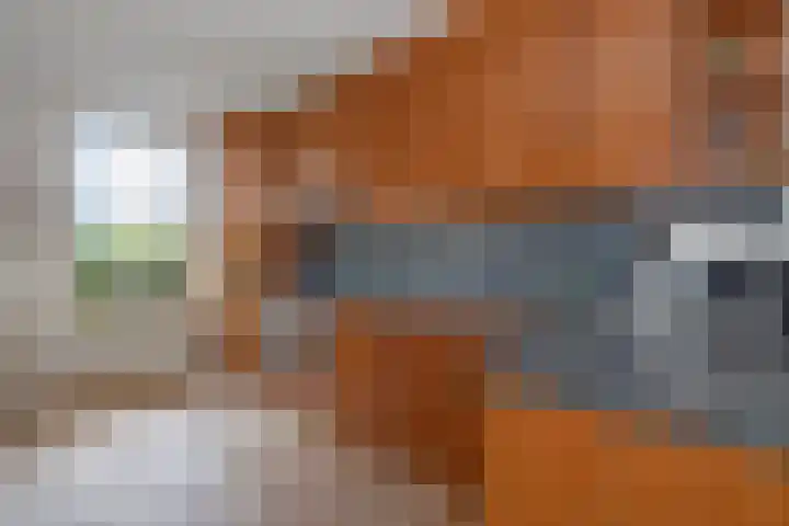 Wold 26 26 3 Lelystad thumbnail 9