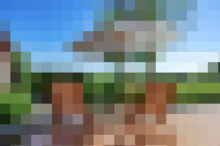 Wolddijk 71 Noordwolde thumbnail 101