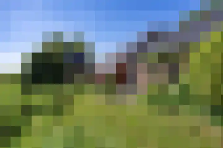 Wolddijk 71 Noordwolde thumbnail 96