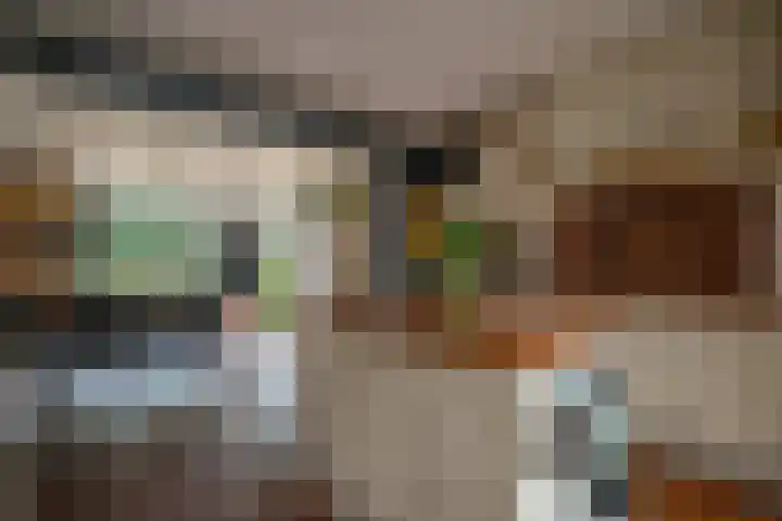 Wolddijk 72 Ruinerwold thumbnail 10