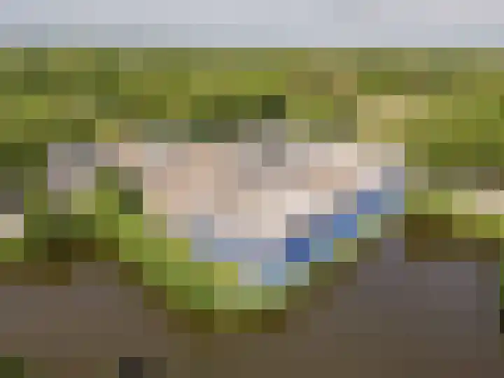 Woldpad 77 Lelystad foto 3