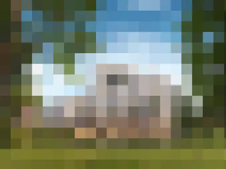 Woldpad 77 Lelystad thumbnail 7