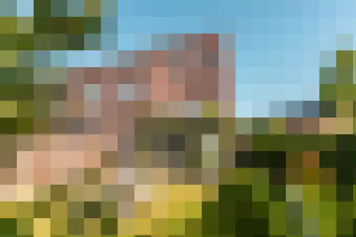Woldplantsoen 18 Lelystad thumbnail 31