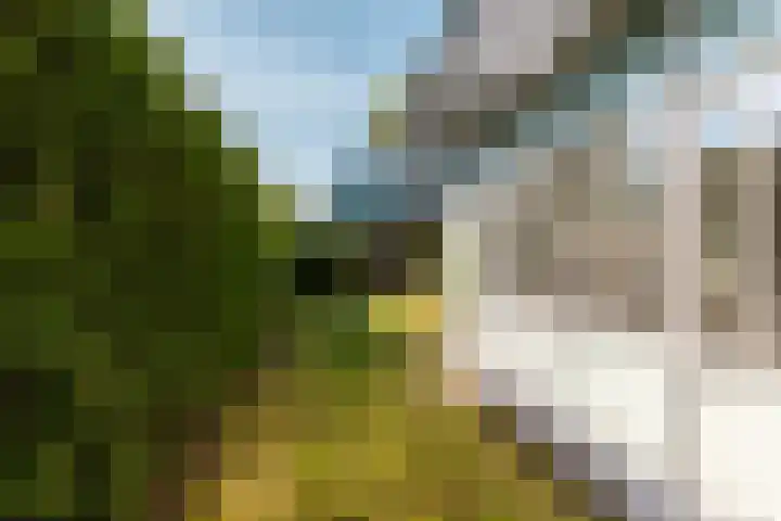 Woldplantsoen 18 Lelystad thumbnail 35