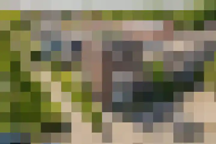 Woldplantsoen 18 Lelystad thumbnail 42