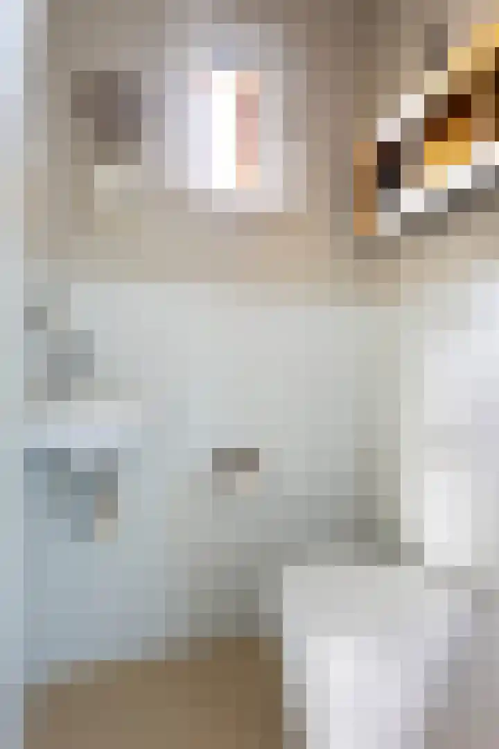 Woldreef 32 Oss thumbnail 16
