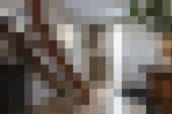 Woldreef 32 Oss thumbnail 17