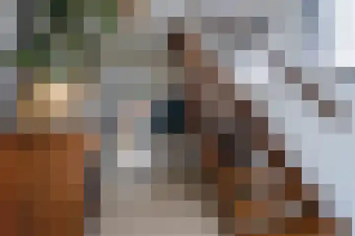 Woldreef 32 Oss thumbnail 18