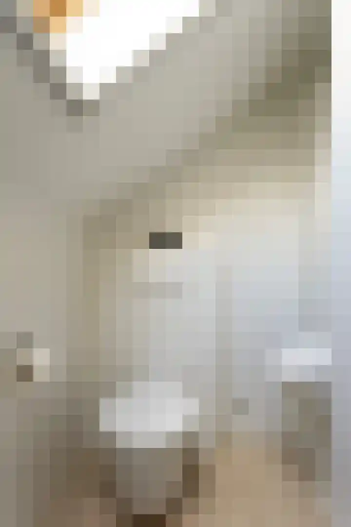 Woldreef 32 Oss thumbnail 27