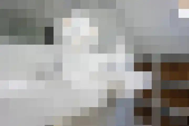 Woldreef 32 Oss thumbnail 28