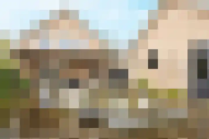 Woldreef 32 Oss thumbnail 33