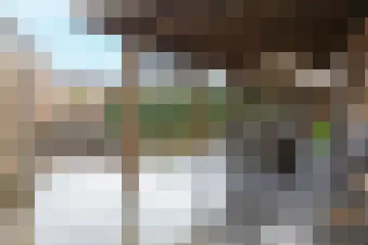 Woldreef 32 Oss thumbnail 34