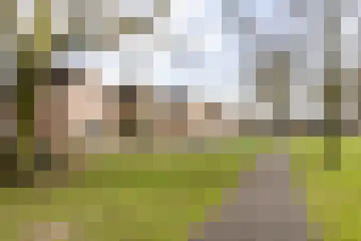 Woldreef 32 Oss thumbnail 38