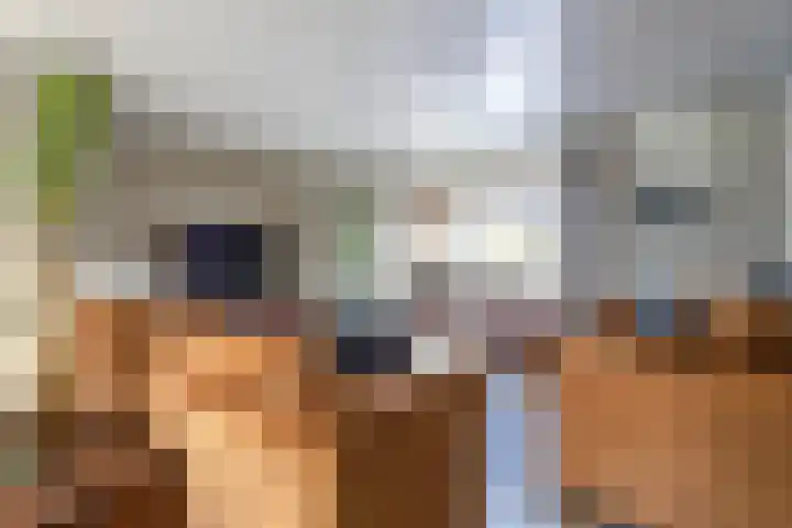 Woldreef 32 Oss thumbnail 7