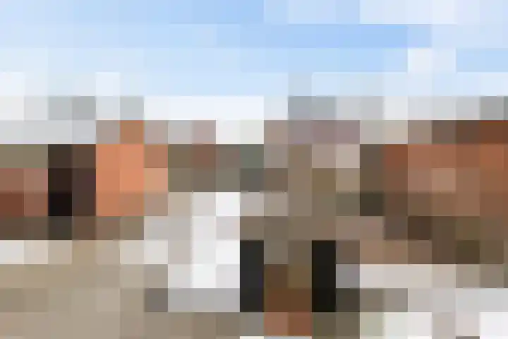 Woldweg 11 Groningen thumbnail 34
