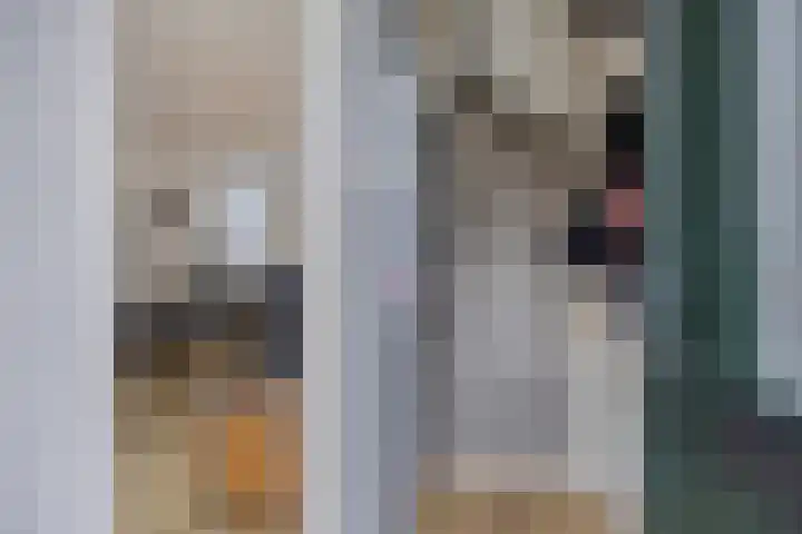 Woldweg 13 Foxhol thumbnail 15