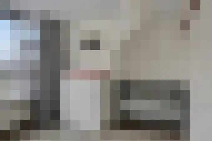 Woldweg 13 Foxhol thumbnail 23