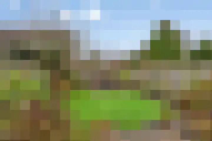 Woldweg 13 Foxhol thumbnail 27
