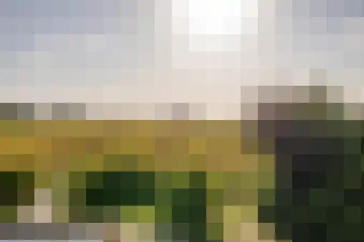Woldweg 151 e Kropswolde thumbnail 24