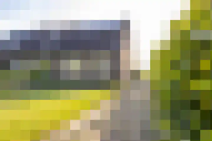 Woldweg 151 e Kropswolde thumbnail 25