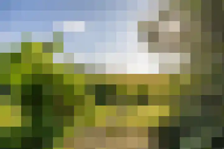 Woldweg 151 e Kropswolde thumbnail 5