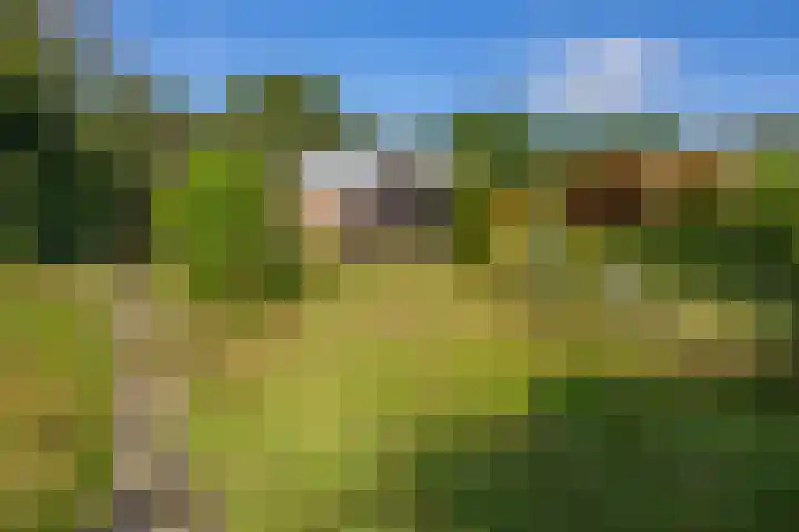 Woldweg 151 e Kropswolde thumbnail 8