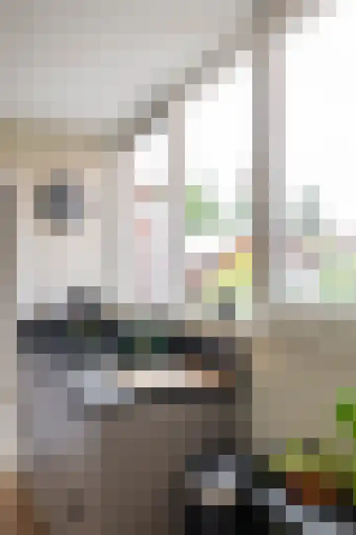 Woldweg 19 Groningen thumbnail 20