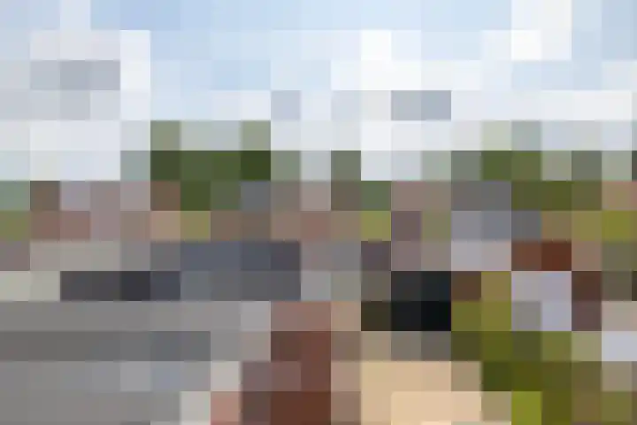 Woldweg 19 Groningen thumbnail 39