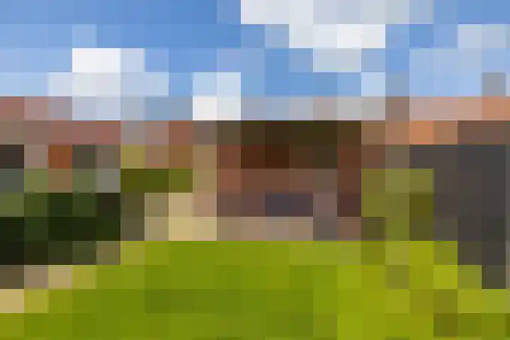 Woldweg 19 Groningen thumbnail 48
