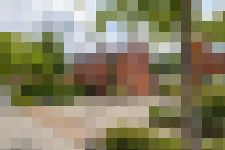 Woldweg 19 Groningen thumbnail 5