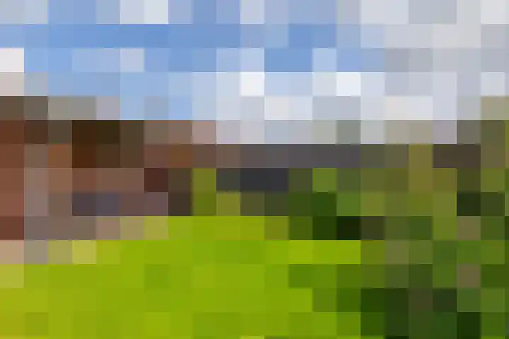 Woldweg 19 Groningen thumbnail 50