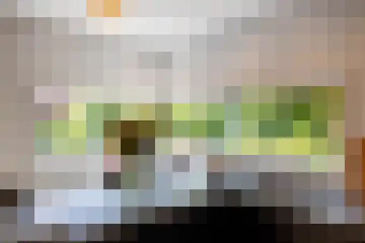 Woldweg 3 Groningen thumbnail 26