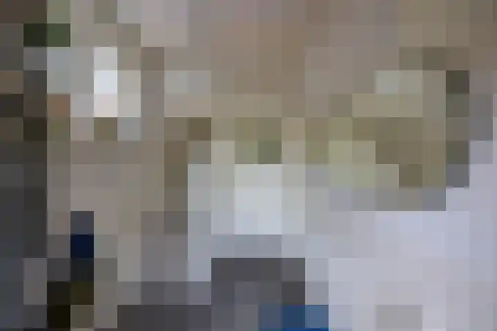 Woldweg 3 Groningen thumbnail 34