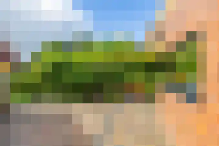 Woldweg 3 Groningen thumbnail 55