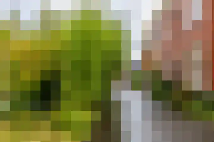 Woldweg 3 Groningen thumbnail 64