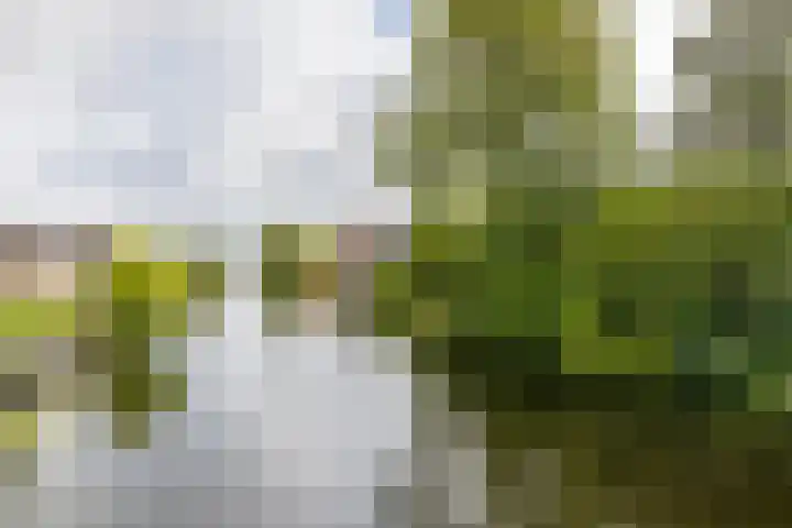 Woldweg 3 Groningen thumbnail 65