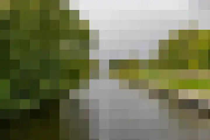 Woldweg 3 Groningen thumbnail 66