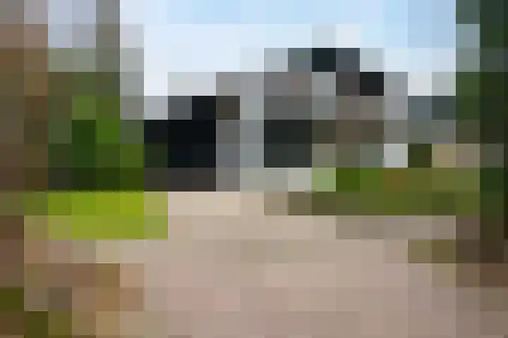 Woldzoom 37 dans Roden