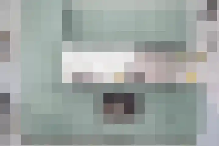 Wolfend 139 Bergschenhoek thumbnail 10
