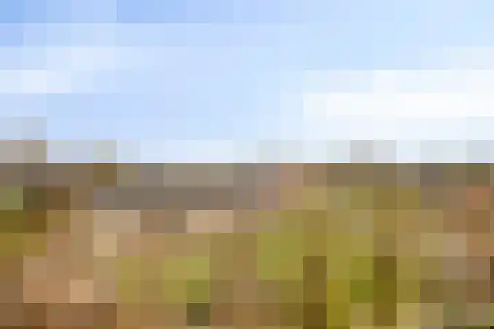 Wolfend 139 Bergschenhoek thumbnail 20