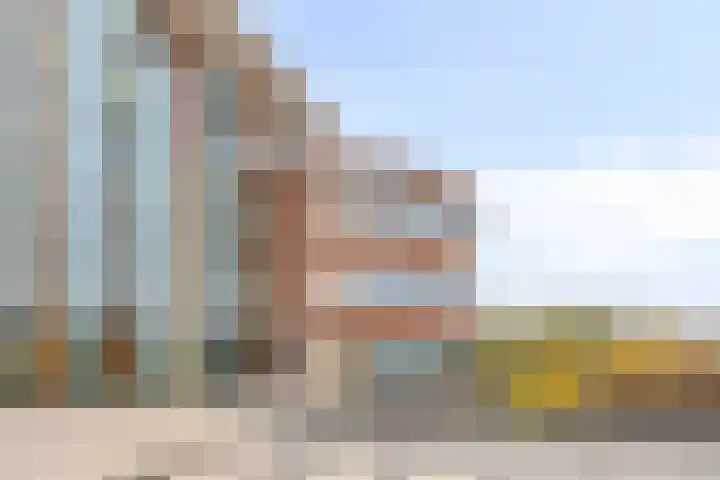 Wolfend 139 Bergschenhoek thumbnail 23