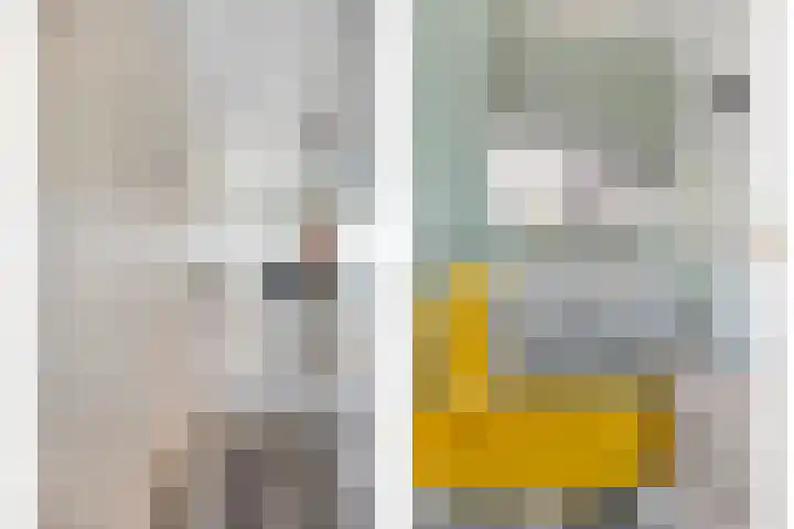 Wolfend 139 Bergschenhoek thumbnail 5