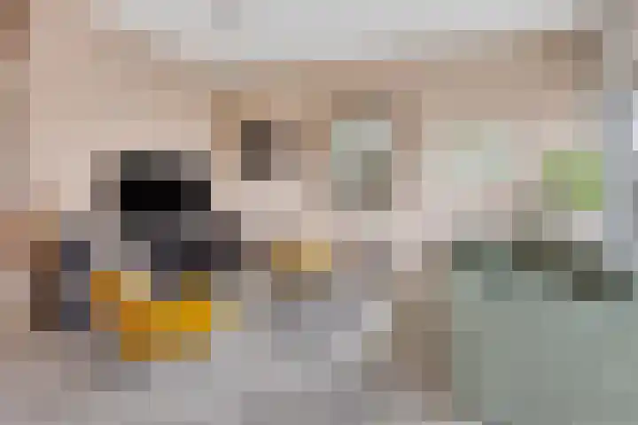 Wolfend 139 Bergschenhoek thumbnail 7