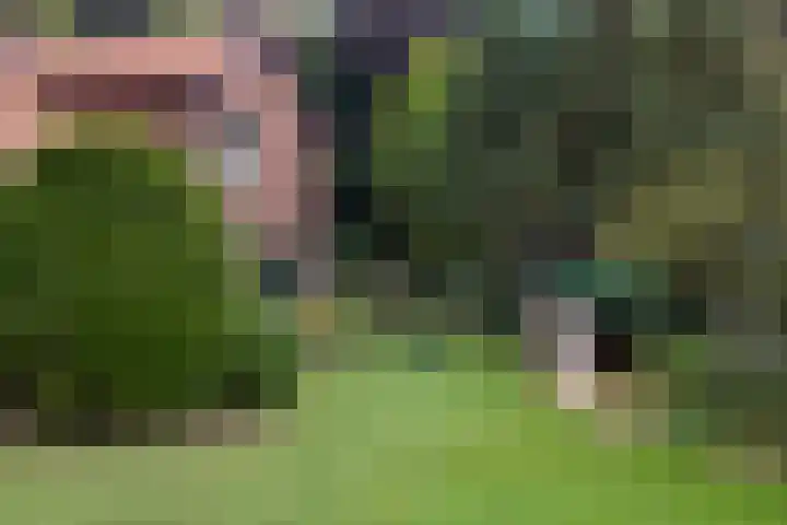 Wolfersveenweg 5 Zelhem thumbnail 19
